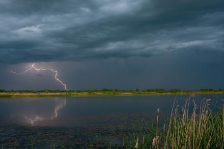 lightning strikes a field beside a pond