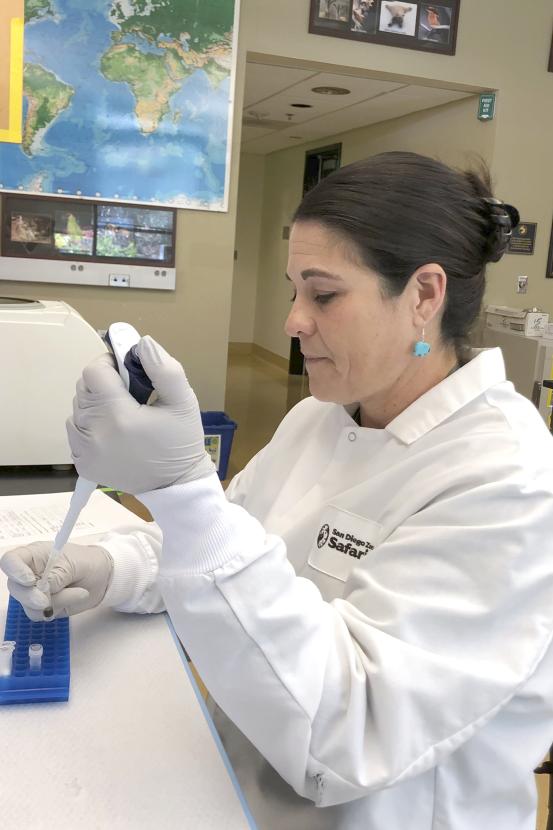 Woman in lab with pipette.