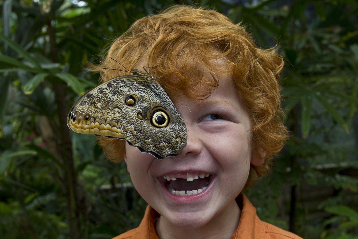 Kid with butterfly on face