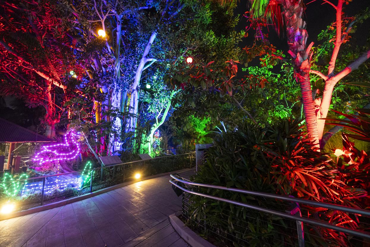 A pathway brightly lighted