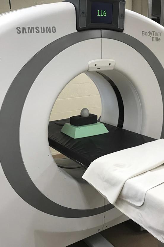 Condor egg in a CT scanner