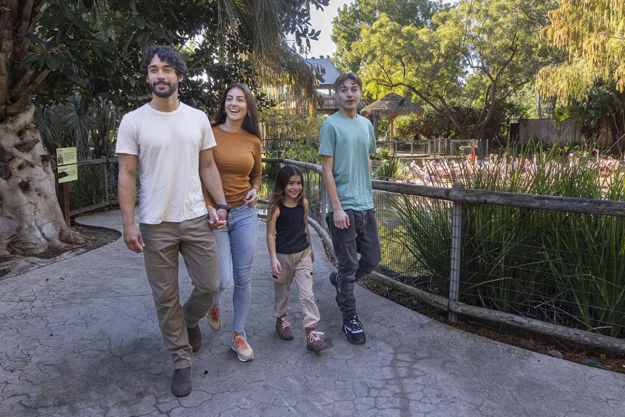 Group walking through Safari Park