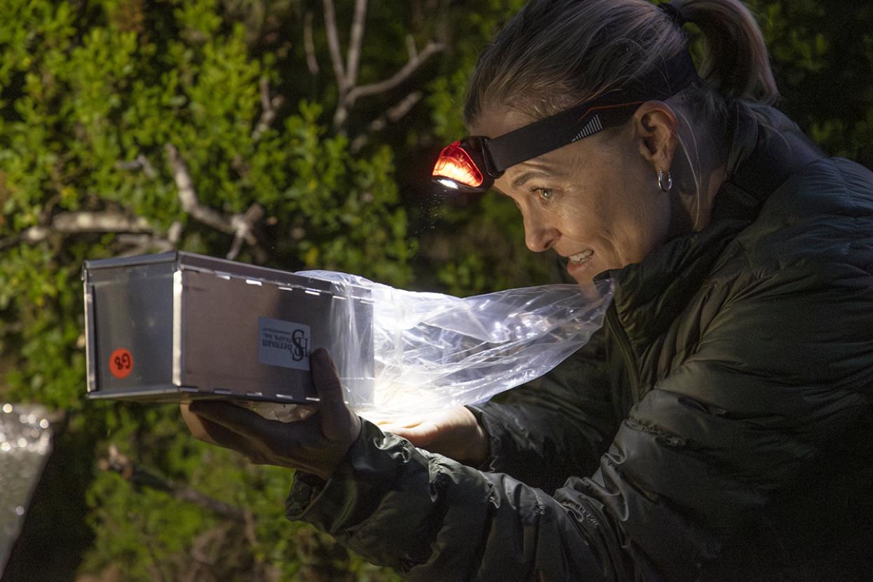 Dr. Debra Shier in the field