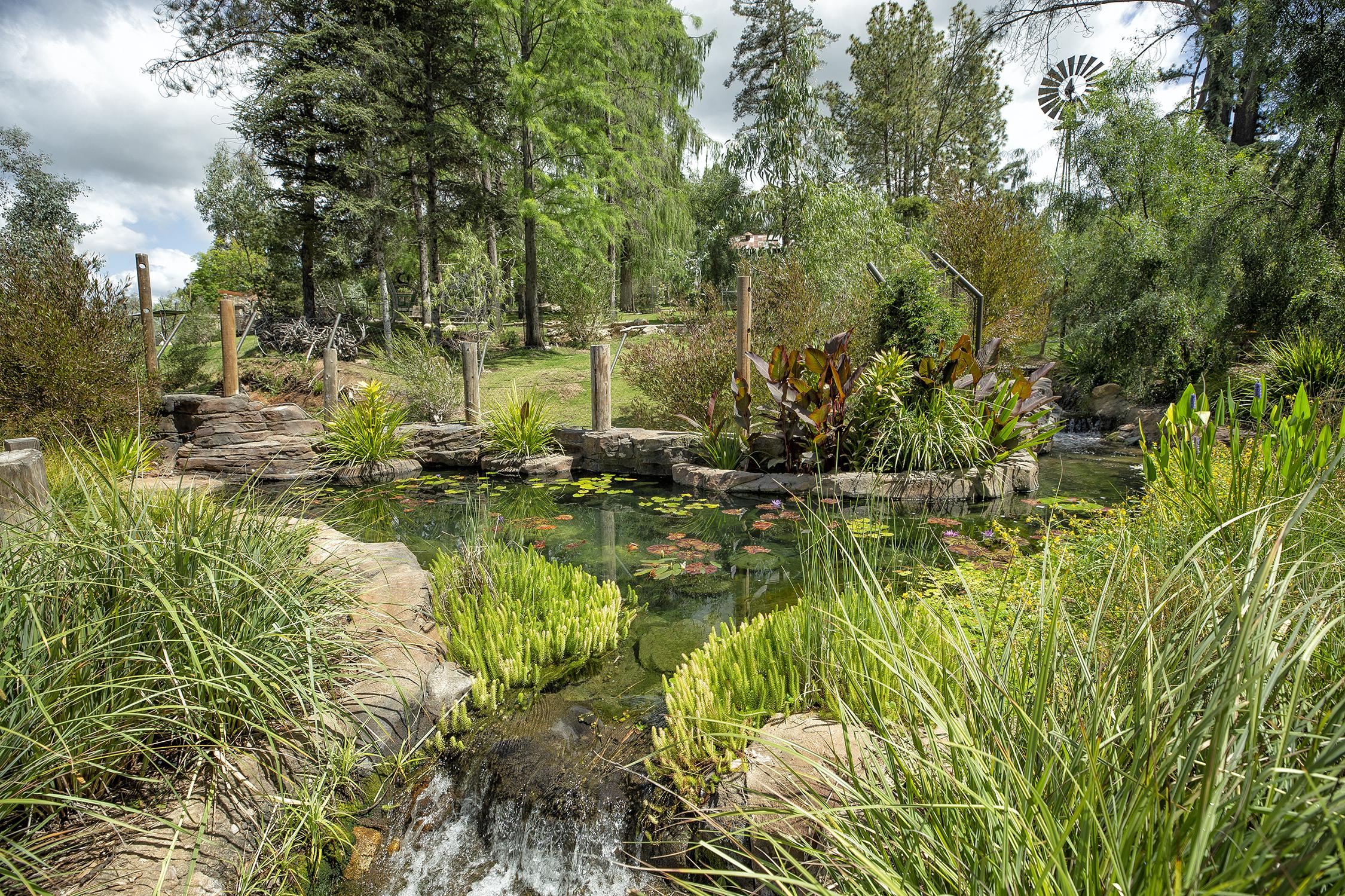 An unexpected view of Walkabout Australia
