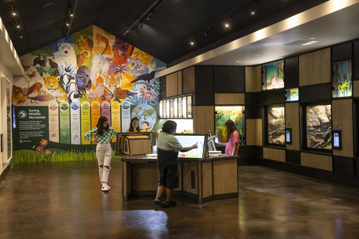 Cool Critters Level 2